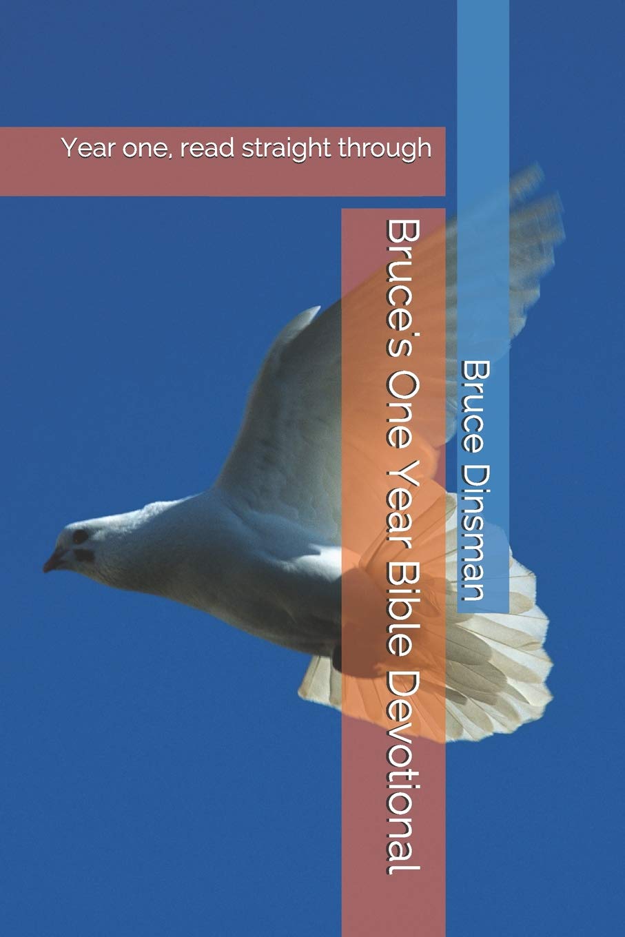 Bruce's One Year Bible Devotional: Year one, read straight through Religion & Esotericism