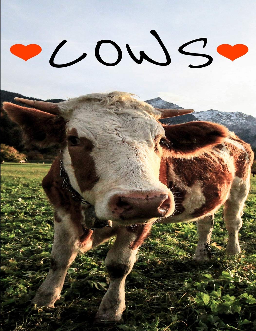 I Love Cows Notebook Journal 150 Page College Ruled Pages 8.5 X 11 Books