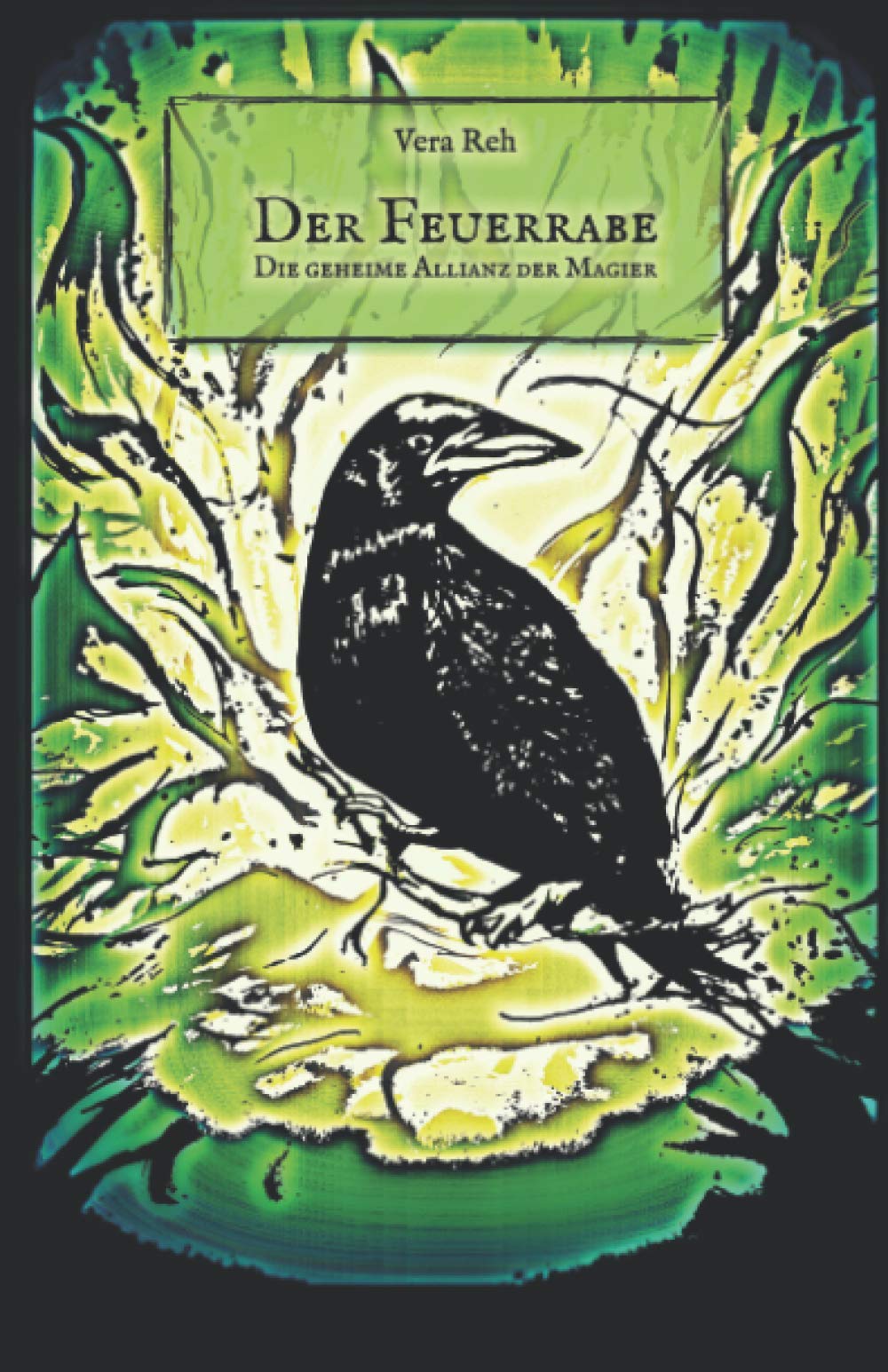 Der Feuerrabe: Die geheime Allianz der Magier Fantasy & Sci-Fi