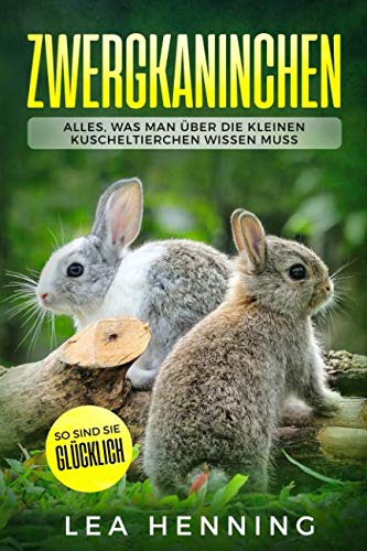 Zwergkaninchen: Alles, was man über die kleinen Kuscheltierchen wissen muss. So sind sie glücklich. Memories