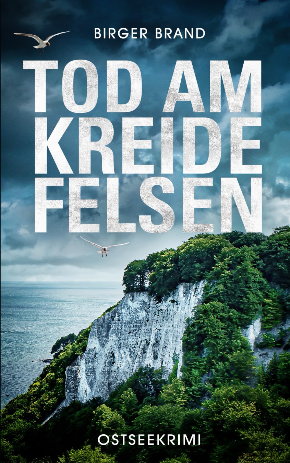 Tod am Kreidefelsen: Ostseekrimi (Lydia Westphal, Band 1) Inspiring women