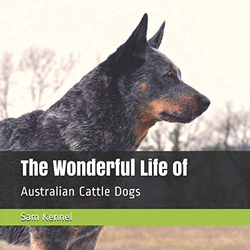 The Wonderful Life of: Australian Cattle Dogs Pets