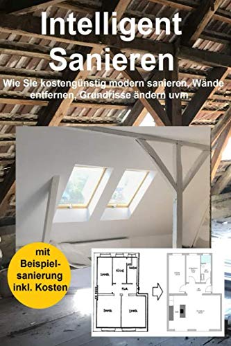 Intelligent Sanieren 2. Auflage: Wie Sie kostengünstig modern sanieren, Wände entfernen, Grundrisse ändern uvm. Hobbies & Crafts