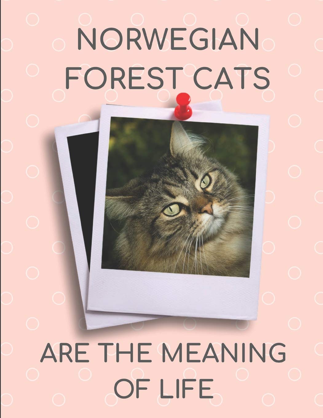 Norwegian Forest Cats Are The Meaning Of Life: 2019-2020 Calendar Planner Pets