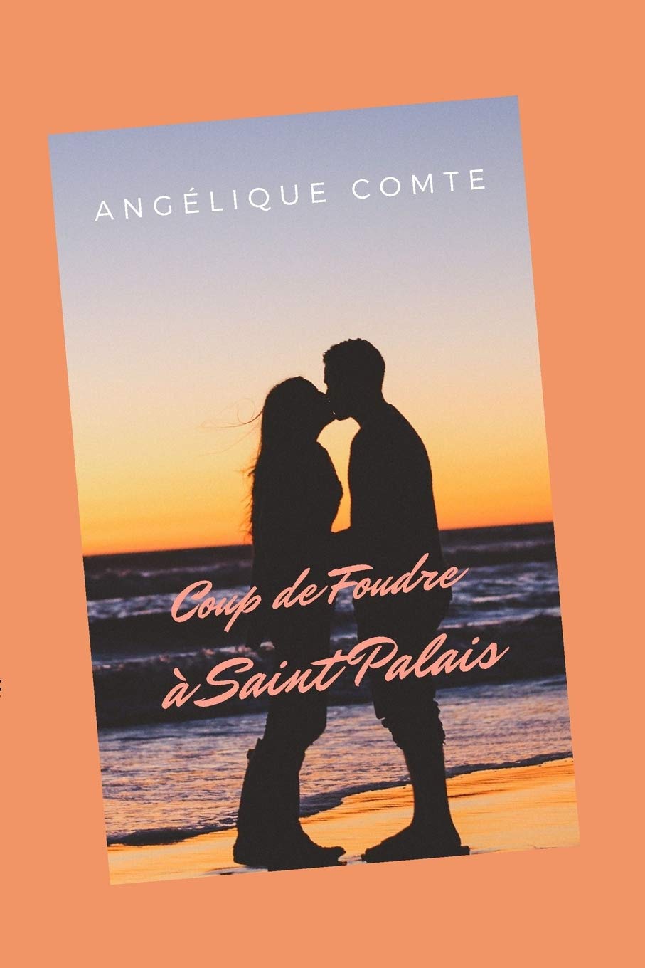 Coup de foudre à Saint Palais book