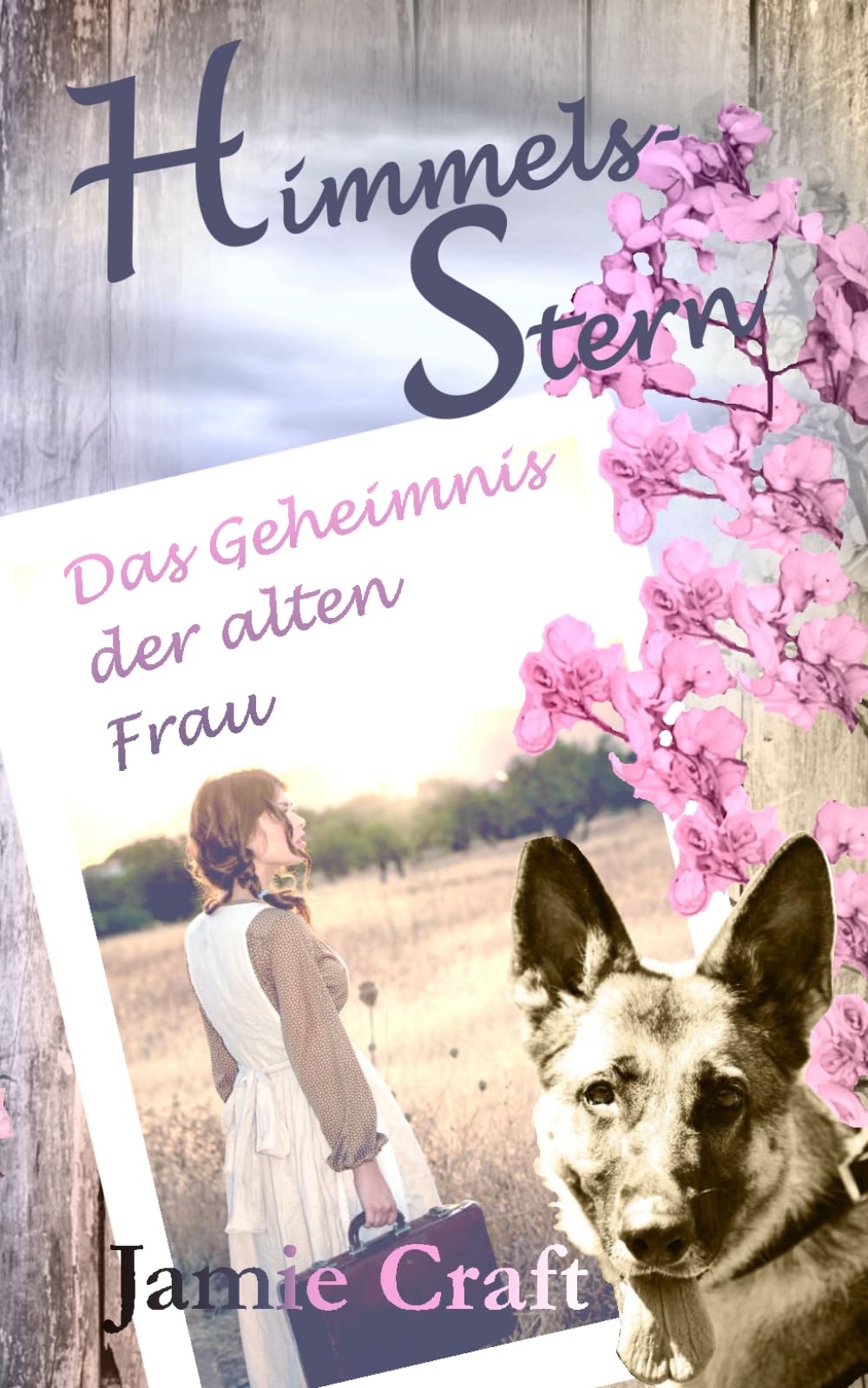 Himmelsstern: Das Geheimnis der alten Frau Politics & Society