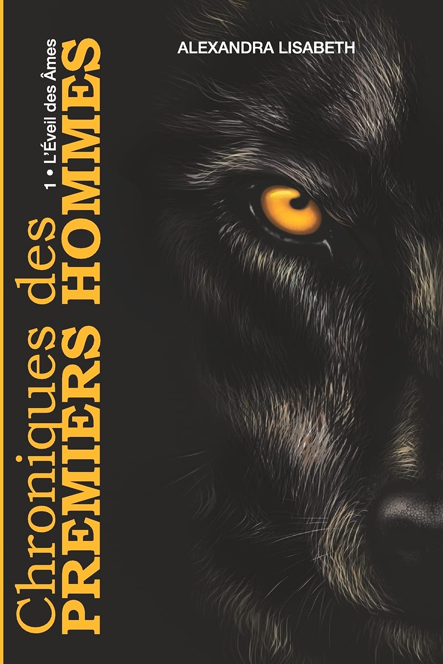 Chronique des Premiers Hommes: L'Éveil des Âmes book