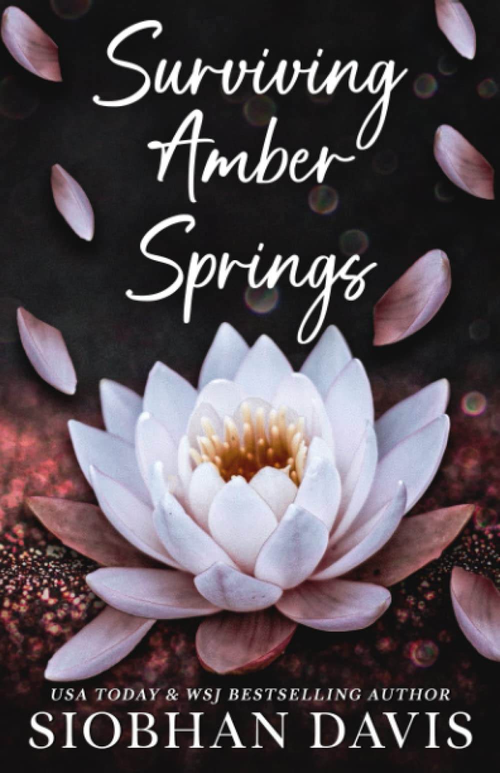 Surviving Amber Springs: A Stand-Alone Contemporary Romance Contemporary literature