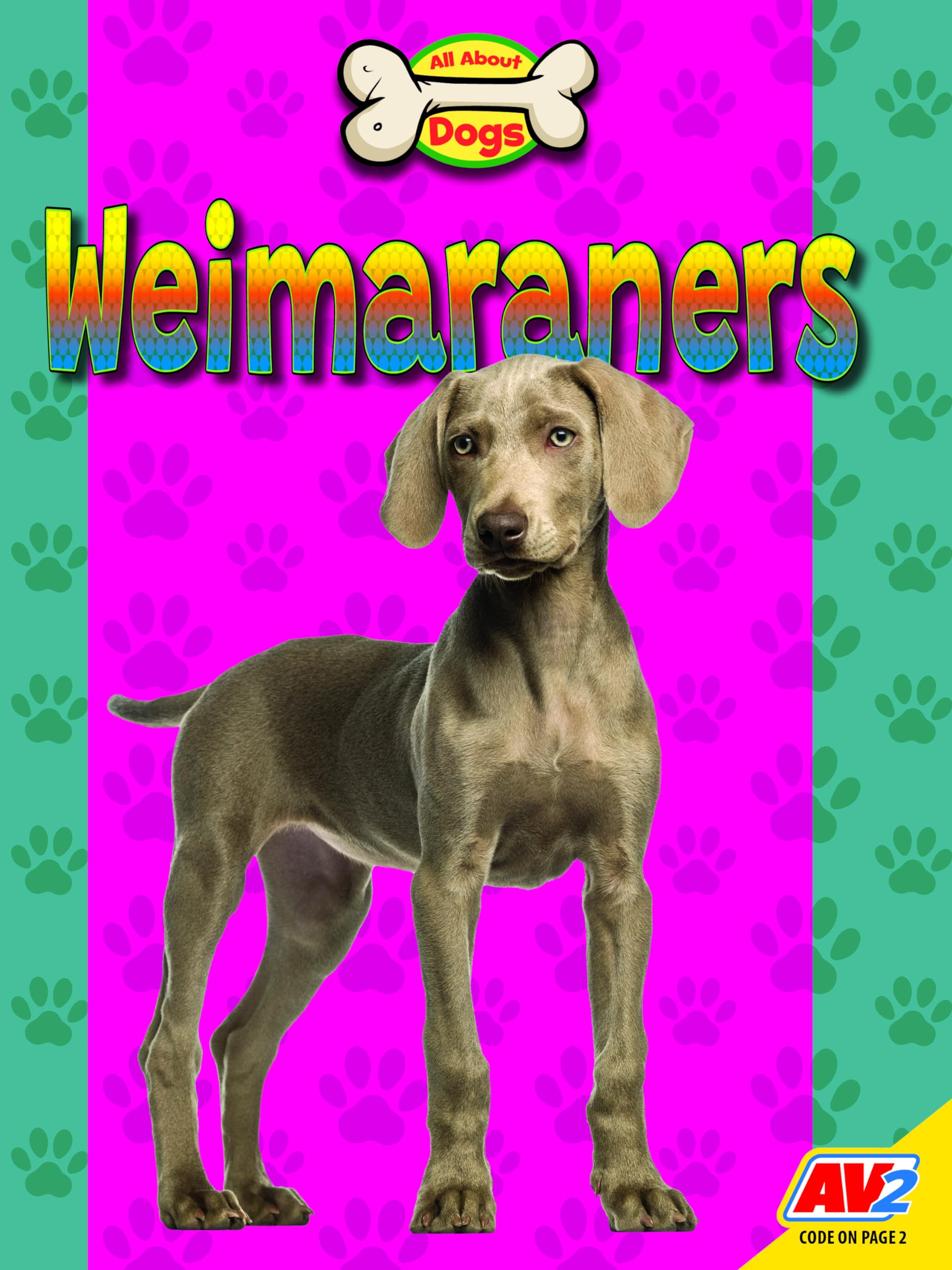 Weimaraners (All about Dogs) Non-fiction
