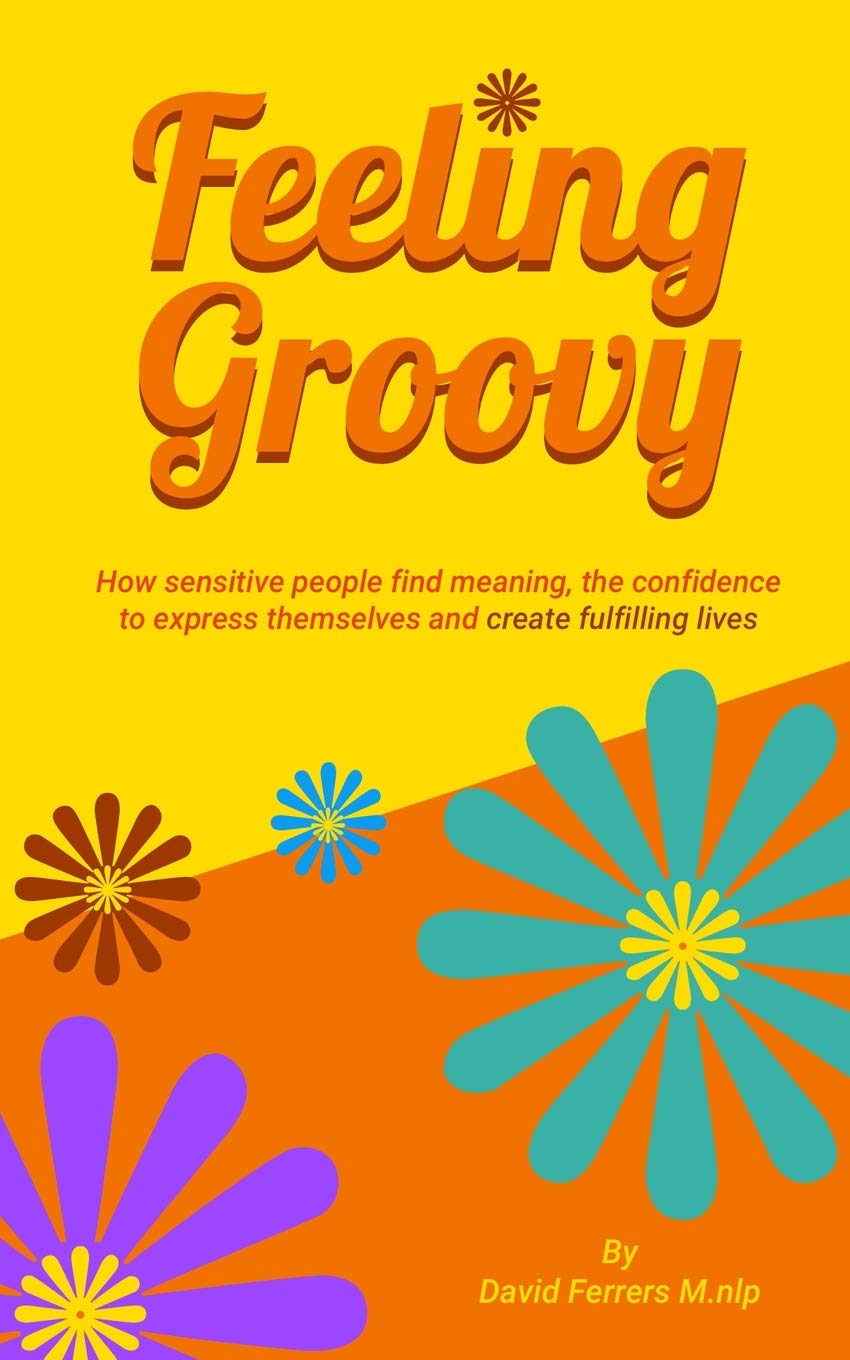 Feeling Groovy: How Sensitive People Find Meaning, the Confidence to Express Themselves and Create Fulfilling Lives Business, Finance & Career