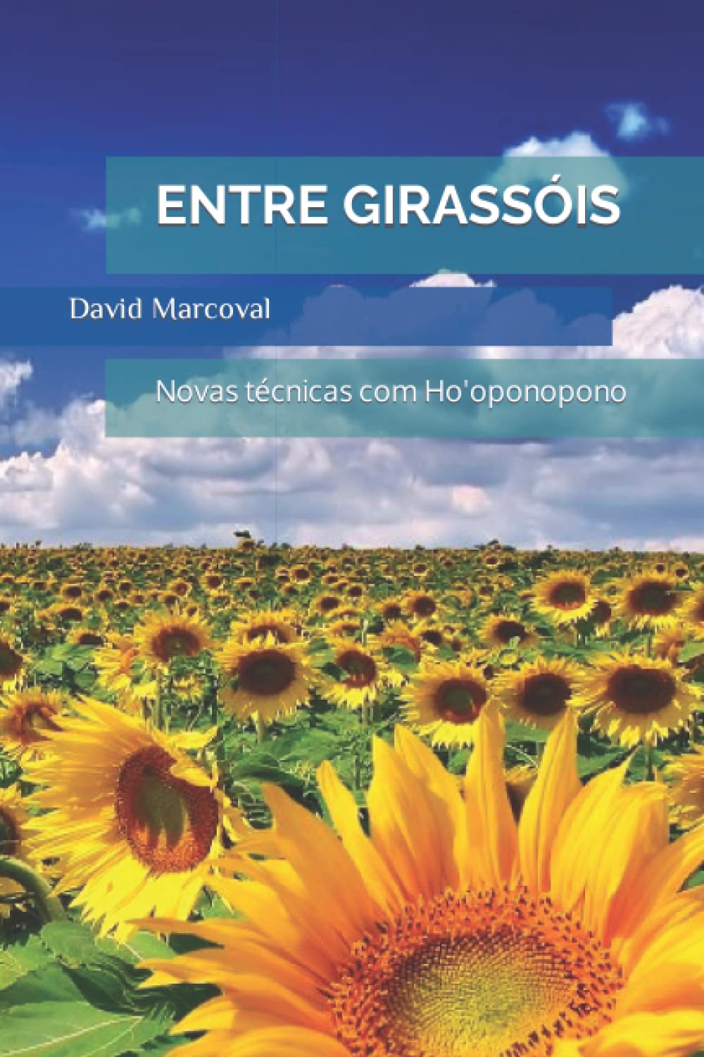 ENTRE GIRASSÓIS: Novas técnicas com Ho'oponopono Self-help