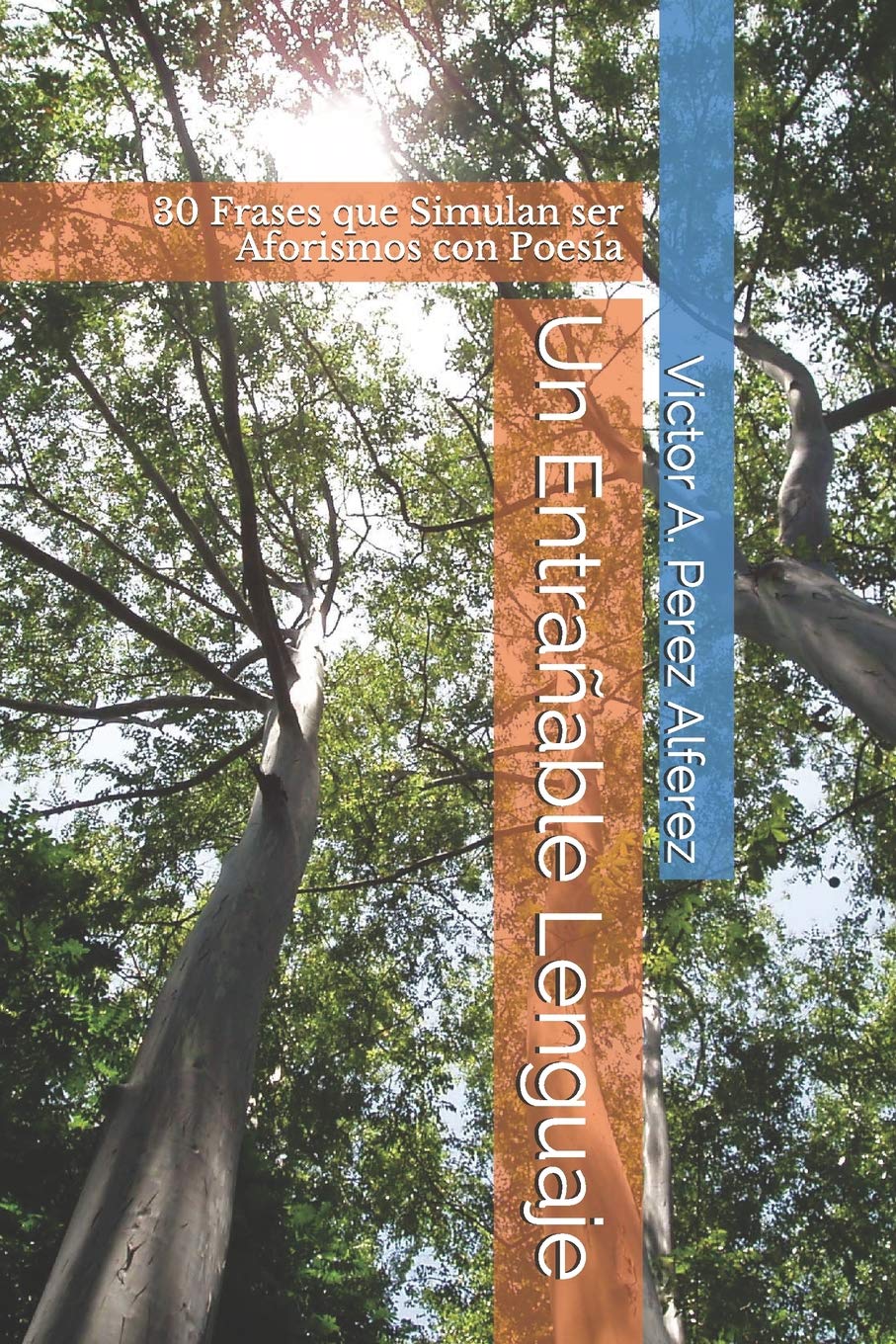 Un Entrañable Lenguaje: 30 Frases que Simulan ser Aforismos con Poesía Philosophy