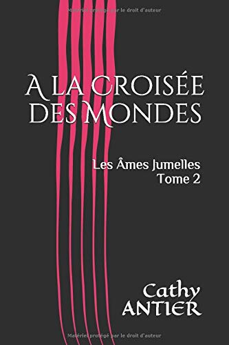 A la Croisée des Mondes (Les Âmes Jumelles, Band 2) LGBTQ+