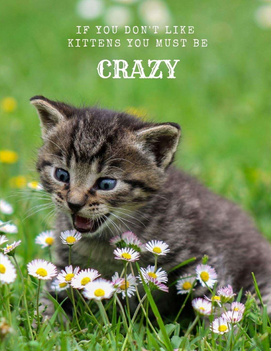 If You Don't Like Kittens You Must Be Crazy: A Large Cute Kitten Notebook Journal (A4 Sized 8.5" x 11") Pets