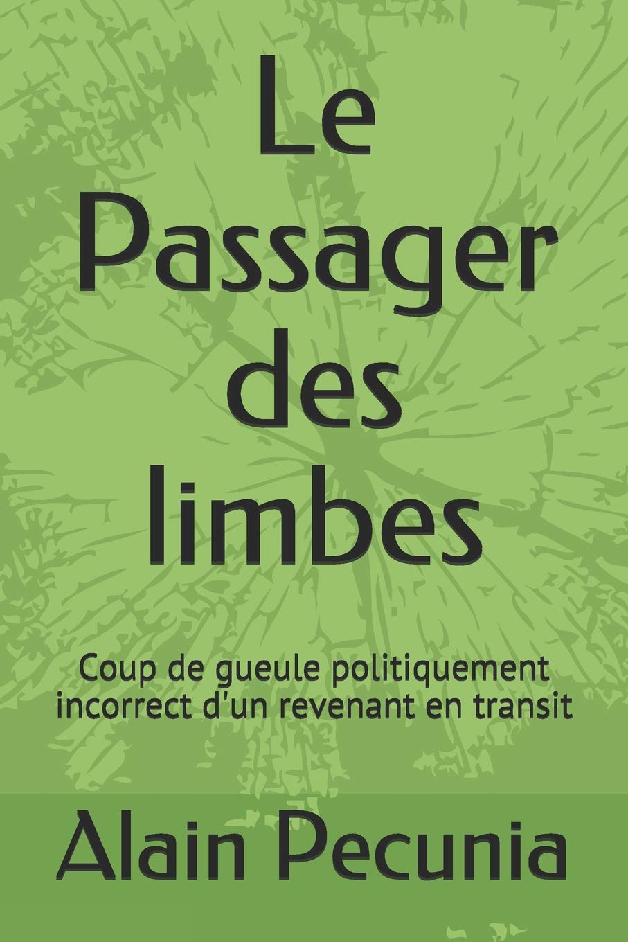 Le Passager des limbes: Coup de gueule politiquement incorrect d'un revenant en transit Social Sciences