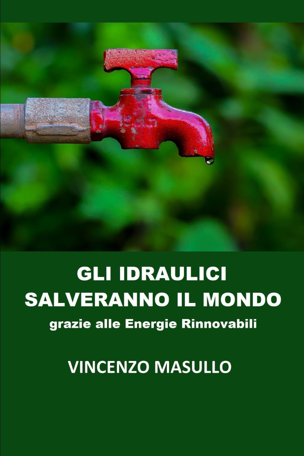 Gli idraulici salveranno il mondo: grazie alle energie rinnovabili Business, Finance & Career