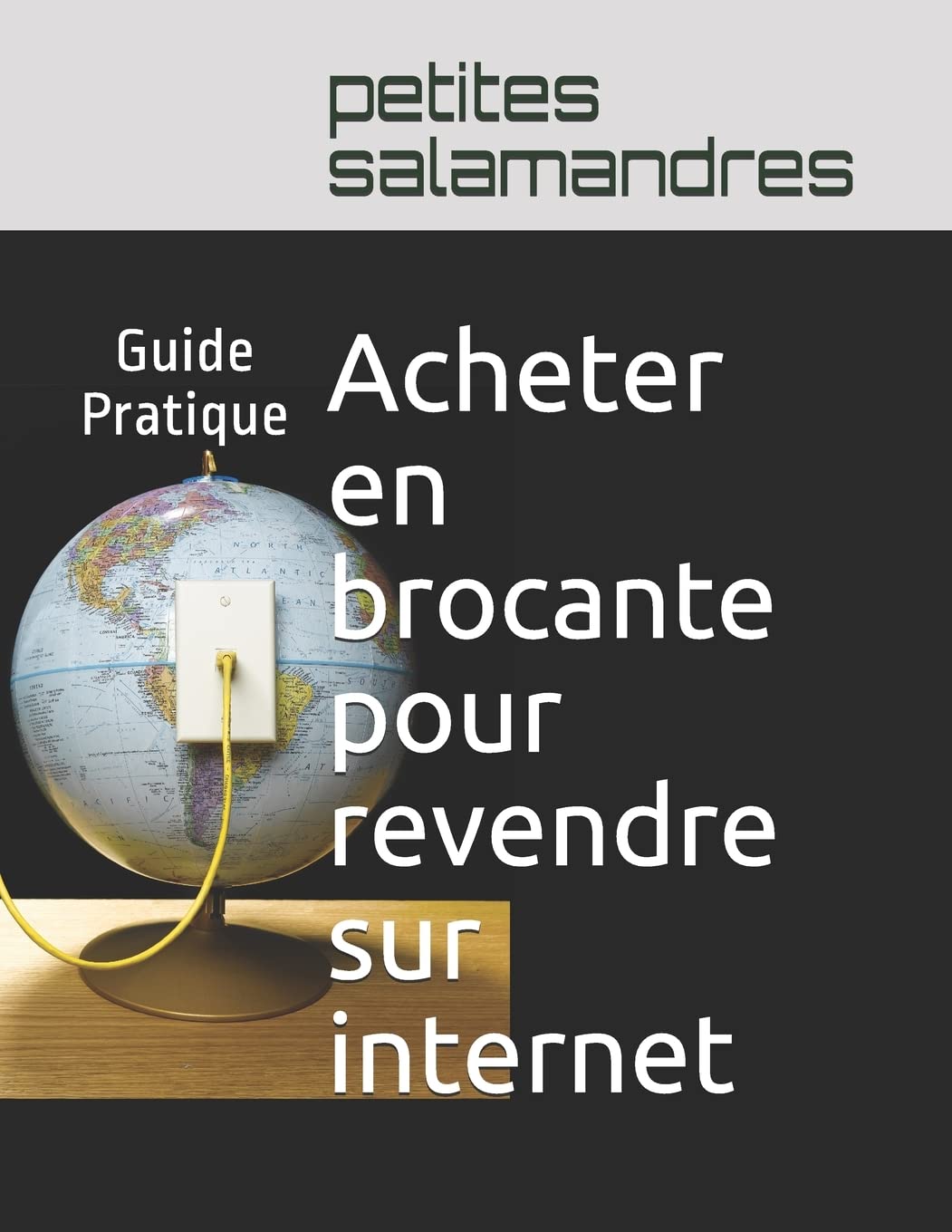 Acheter en brocante pour revendre sur internet: Guide Pratique Computer Science