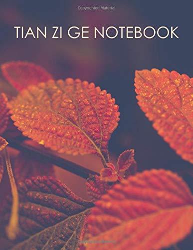 Tian Zi Ge notebook: Exercise workbook for Chinese writing practice: 140 squares per page: Orange and red leaves design Foreign Languages ​​& Dictionaries