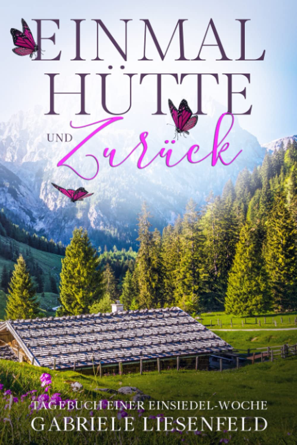 Einmal Hütte und zurück: Tagebuch einer Einsiedel-Woche Contemporary literature