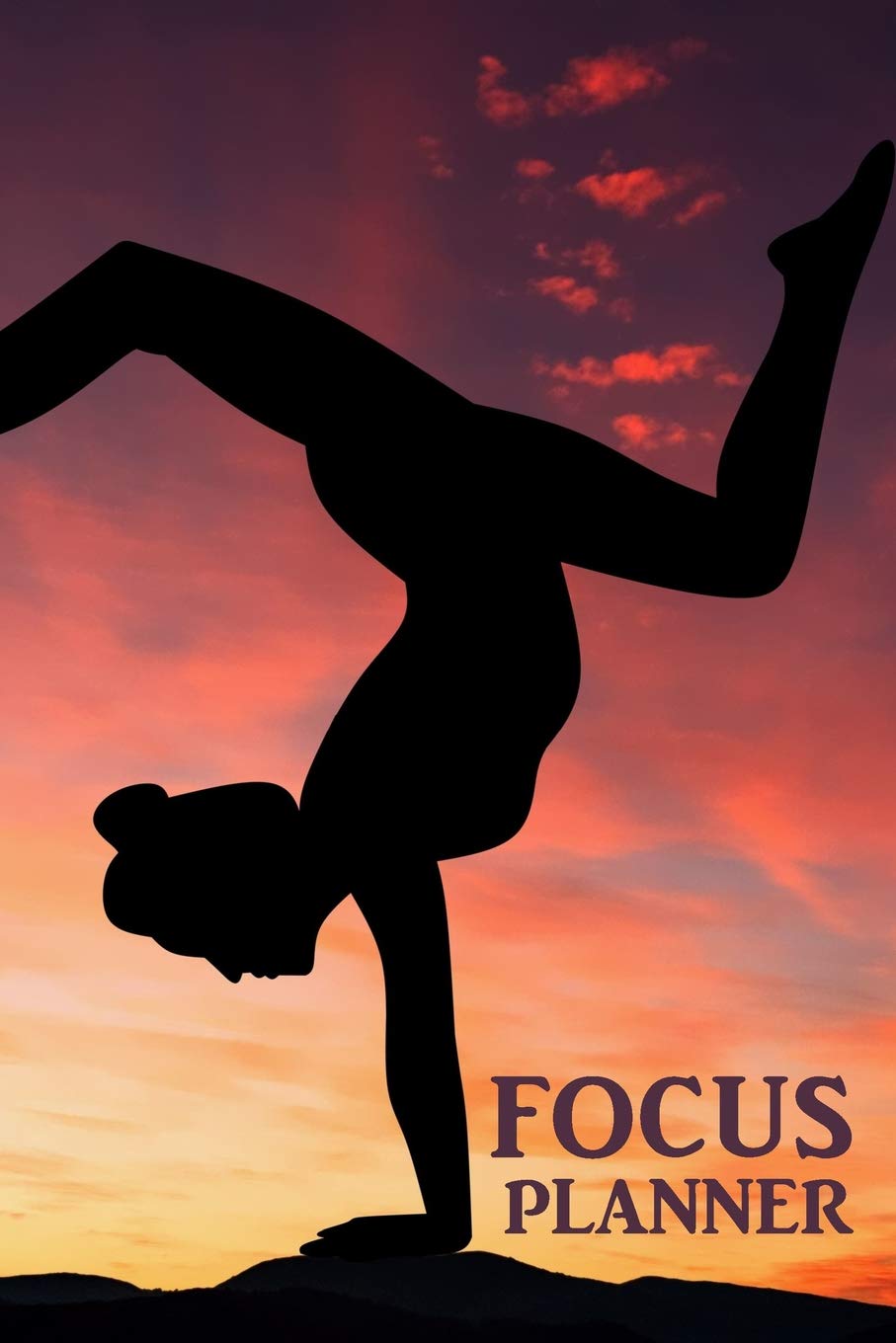 Focus Planner: Full Year, 365-Day (Undated) Focus Planner and Notebook, Set Goals, Map Plans, Decide Tasks, Monitor Your Time and Attention and ... Success - Focus Power - Matte Finish Business, Finance & Career