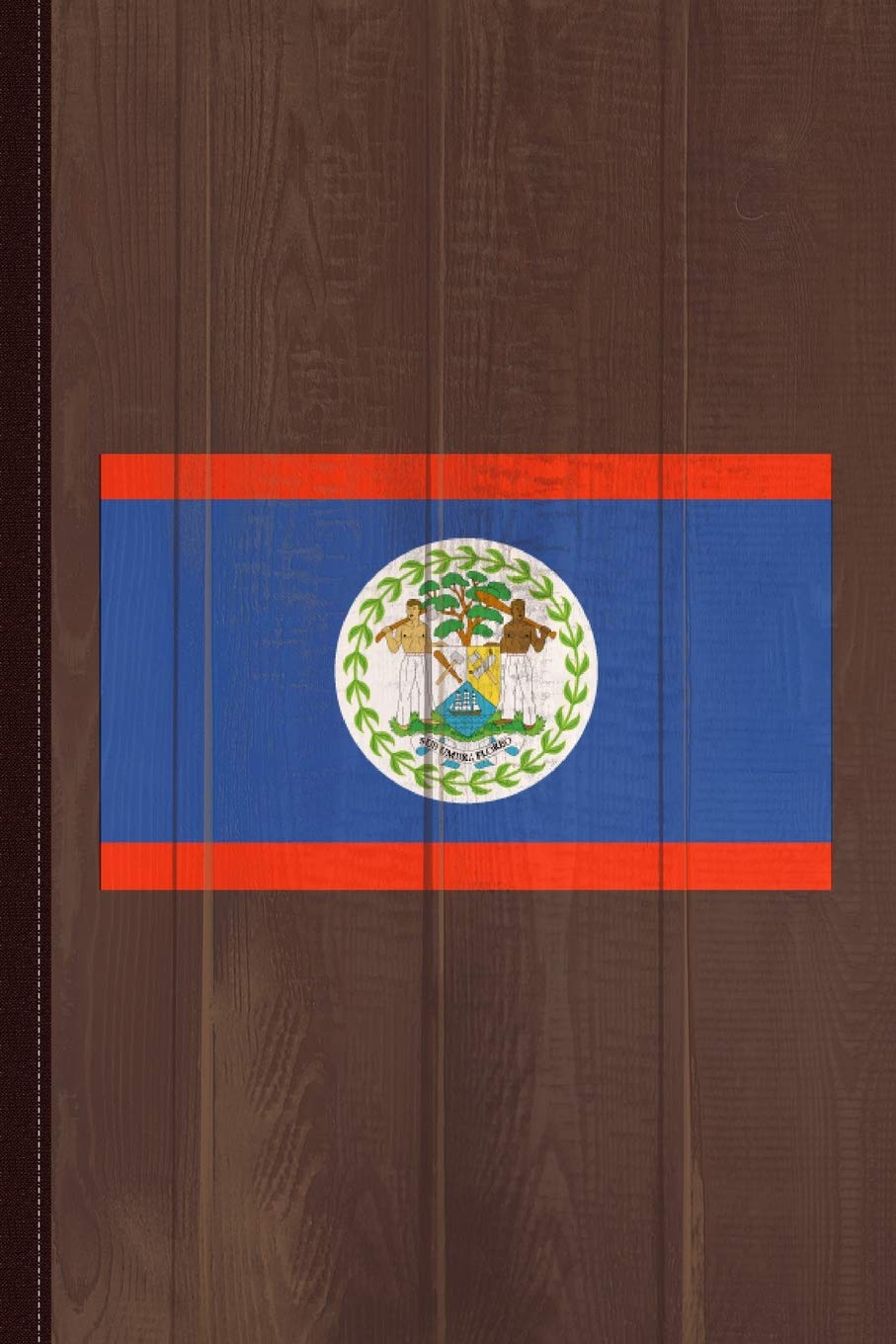Belize Flag Journal Notebook: Blank Lined Ruled For Writing 6x9 110 Pages Essays & Short Stories