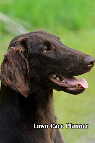 Lawn Care Planner: A 100 Page Lawn Maintenance Schedule, Guard Dog Business, Finance & Career