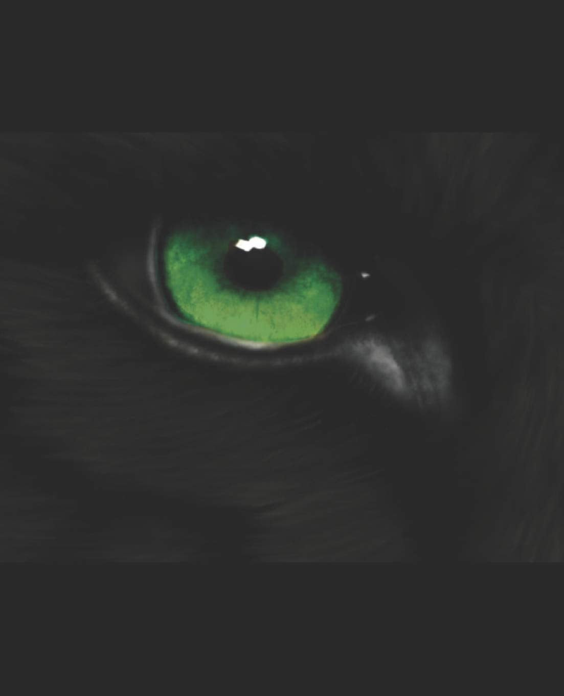 WOLF: Beginnings Book 1 of the WOLF Series Horror & Mystery