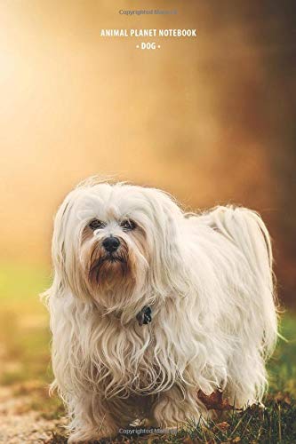 ANIMAL PLANET NOTEBOOK: DOG: Notebook with animal, Motivational Notebook, Journal, Diary (110 Pages, Blank, 6 x 9) Mathematics