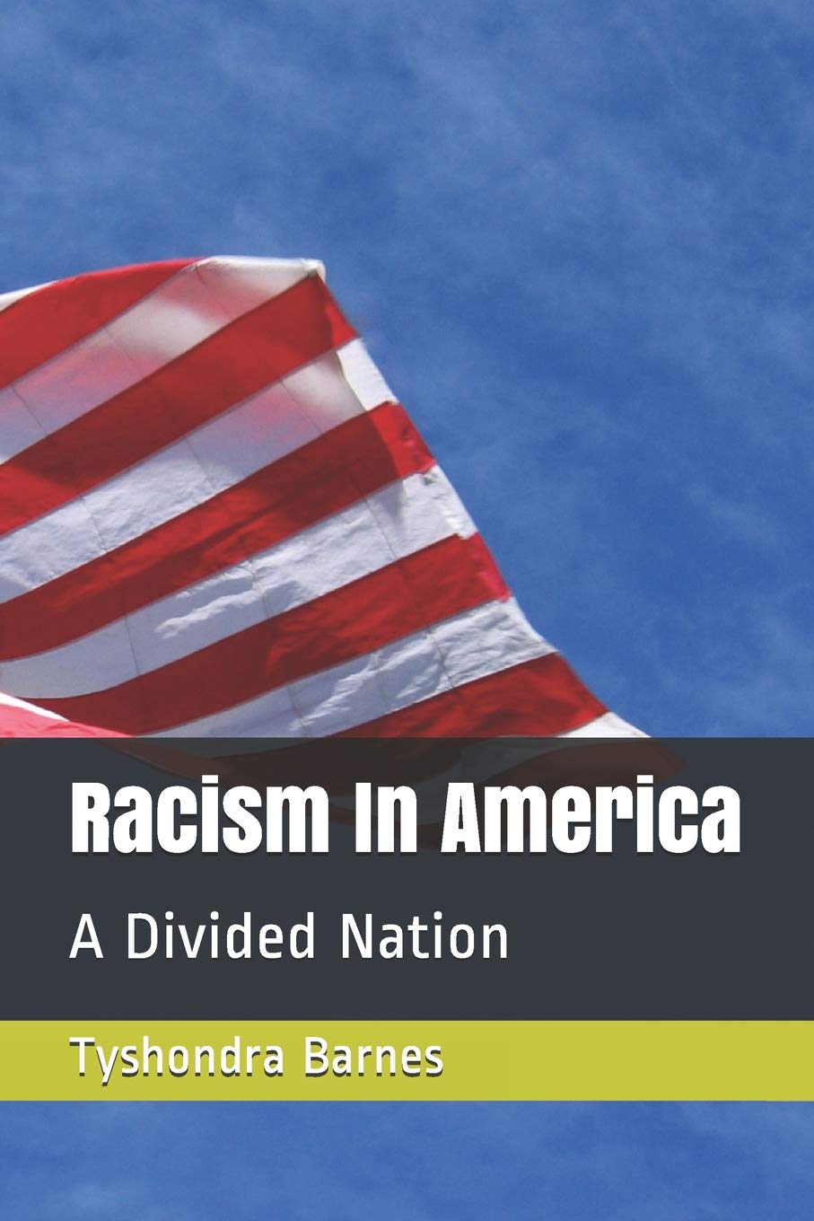 Racism In America: A Divided Nation Contemporary literature