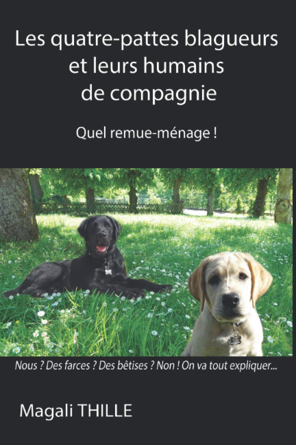 Les quatre-pattes blagueurs et leurs humains de compagnie: Quel remue-ménage ! Pets
