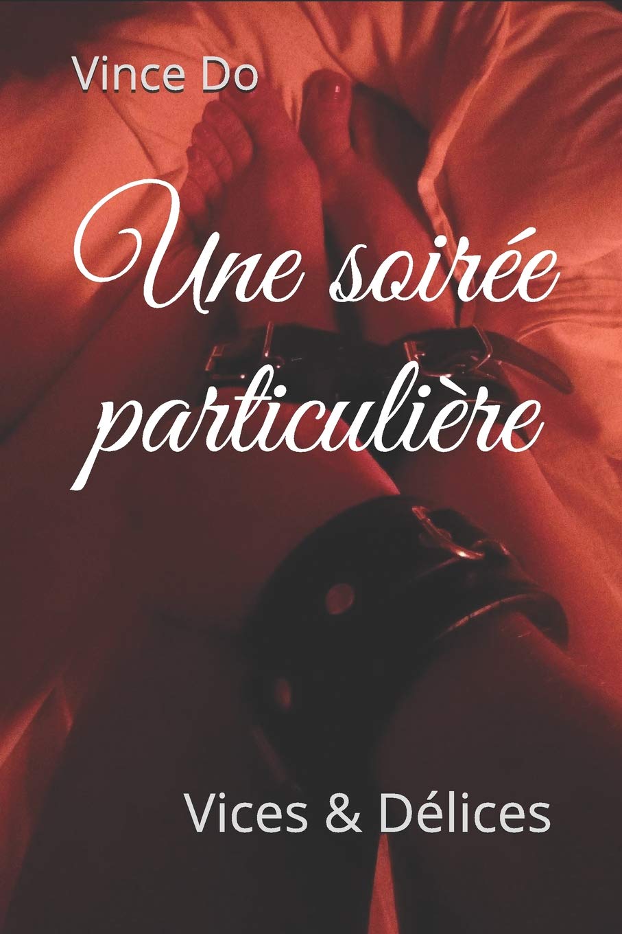 Une soirée particulière (Vices&Délices) Contemporary literature