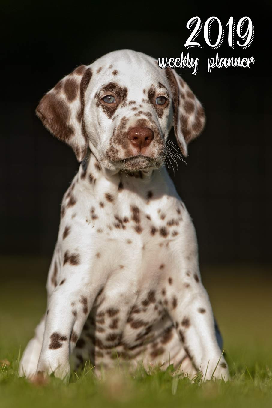 2019 Weekly Planner: 6x9 in. Dalmatian 52 Weekly Calendar Schedule Organizer Appointment Journal Notebook for Dobie fans Pets