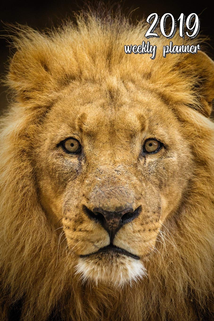 2019 Weekly Planner: 6x9 in. Lion 52 Weekly Calendar Schedule Organizer Appointment Journal Notebook for wildcat fans Mathematics