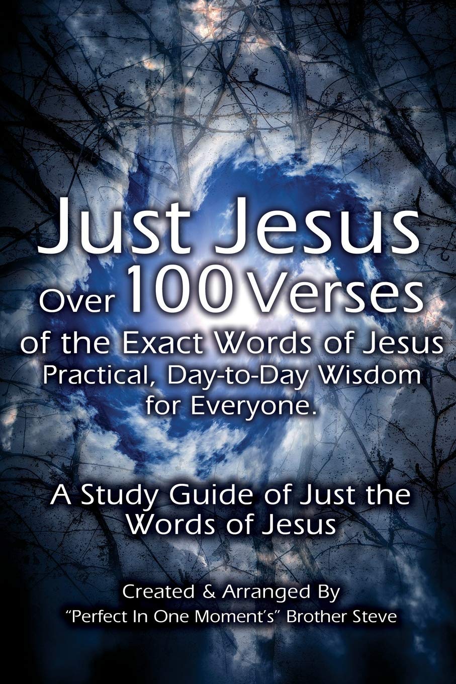 Just Jesus: Over 100 Verses of the Exact Words of Jesus Social Sciences