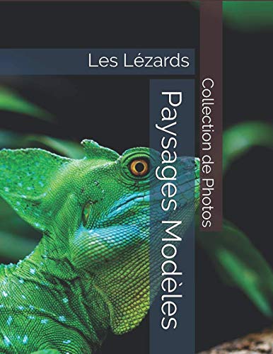 Les Lézards - Paysages Modèles - Collection de Photos Travel