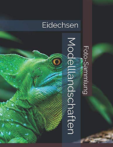 Eidechsen - Modelllandschaften - Foto-Sammlung Travel