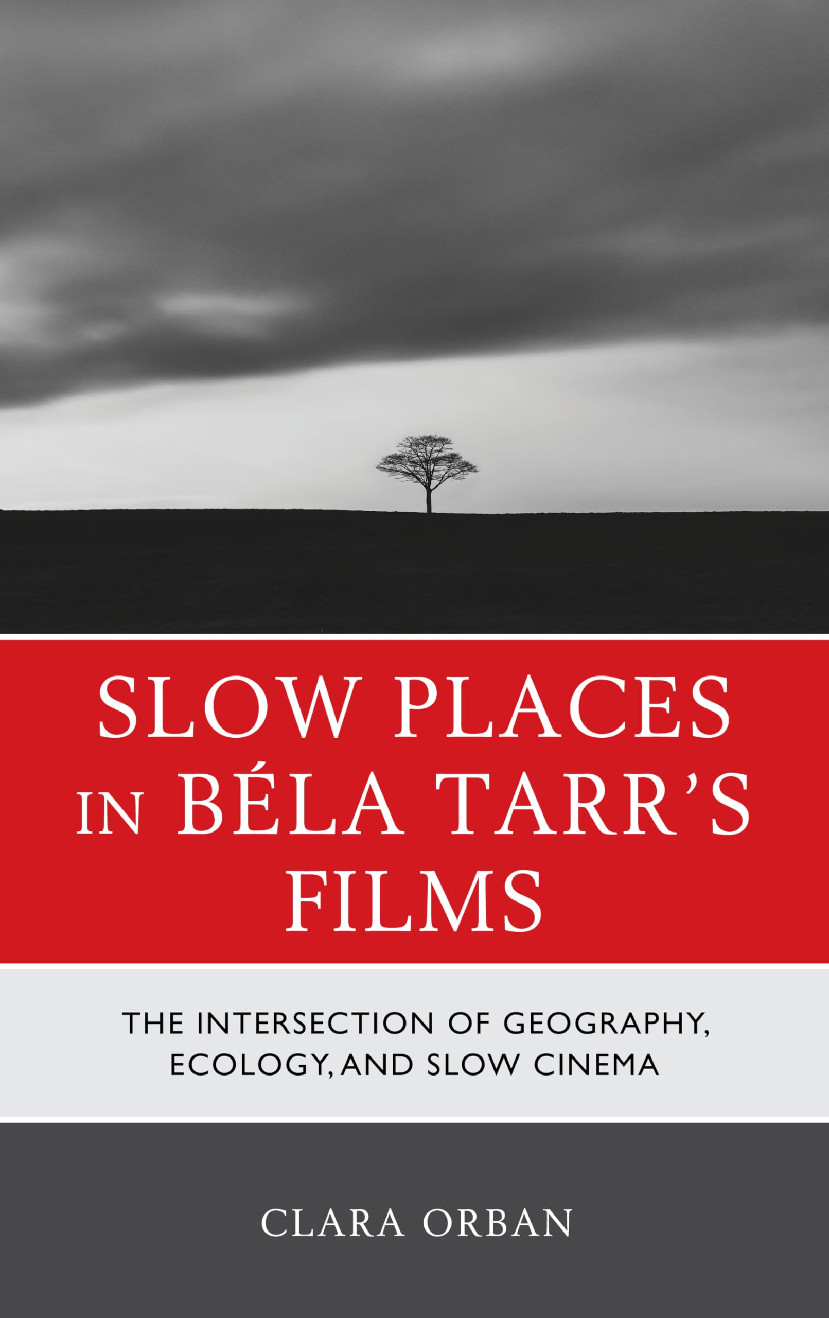 Slow Places in Béla Tarr's Films: The Intersection of Geography, Ecology, and Slow Cinema Art & Literature