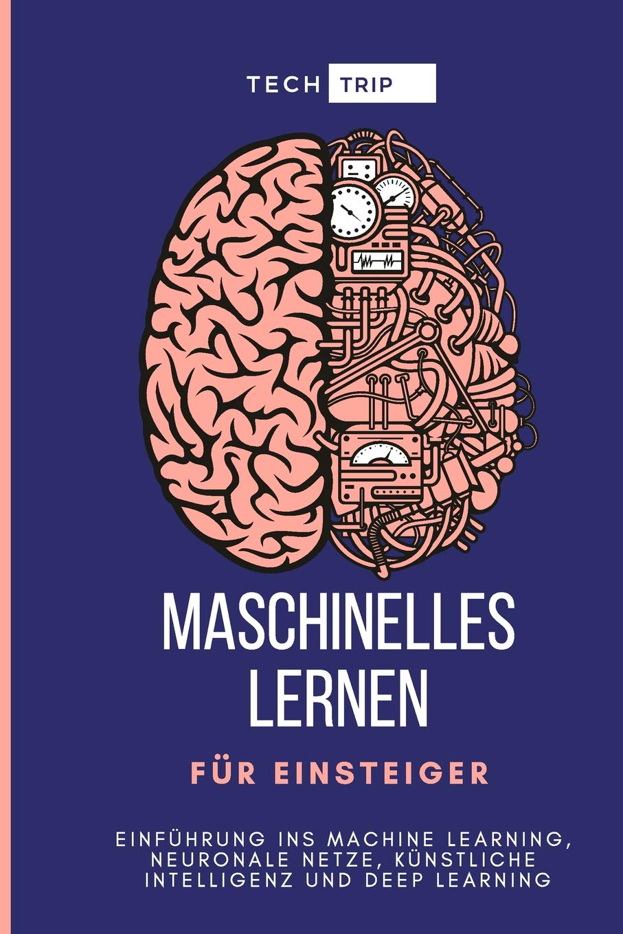 Maschinelles Lernen für Einsteiger: Einführung ins Machine Learning, Neuronale Netze, Künstliche Intelligenz und Deep Learning Computer Science