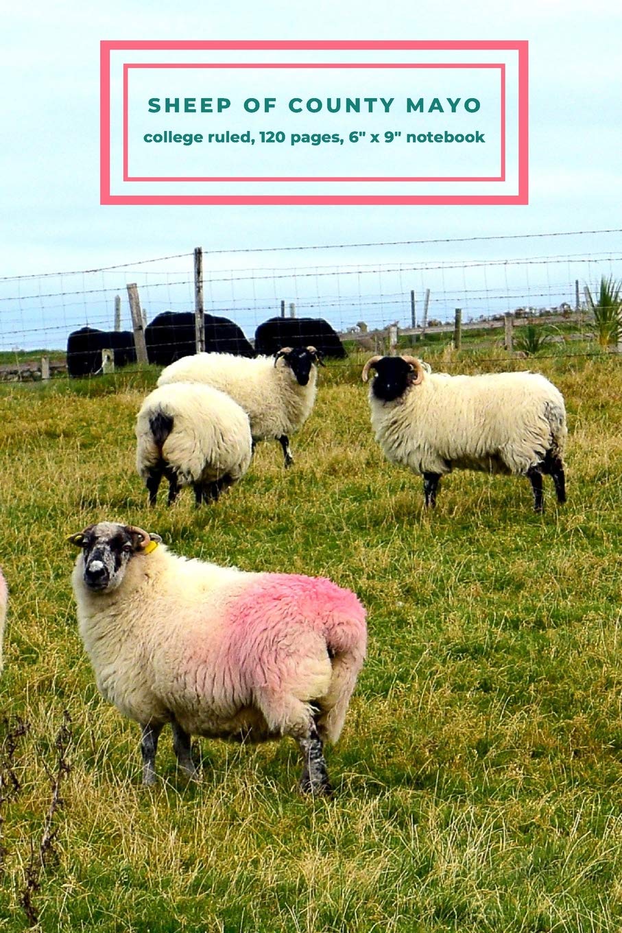 Sheep of County Mayo College Ruled Notebook: 6" x 9" notebook with 120 pages (Sheep Journal Series, Band 2) Film, Art & Culture