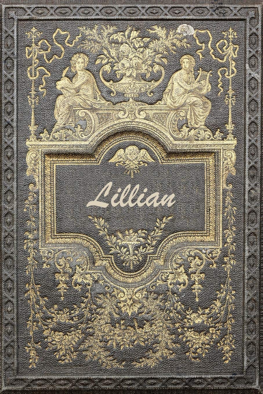Lillian: Classic Style Blank Cookbook Recipes & Notes featuring 120 pages 6"x9" Essays & Short Stories