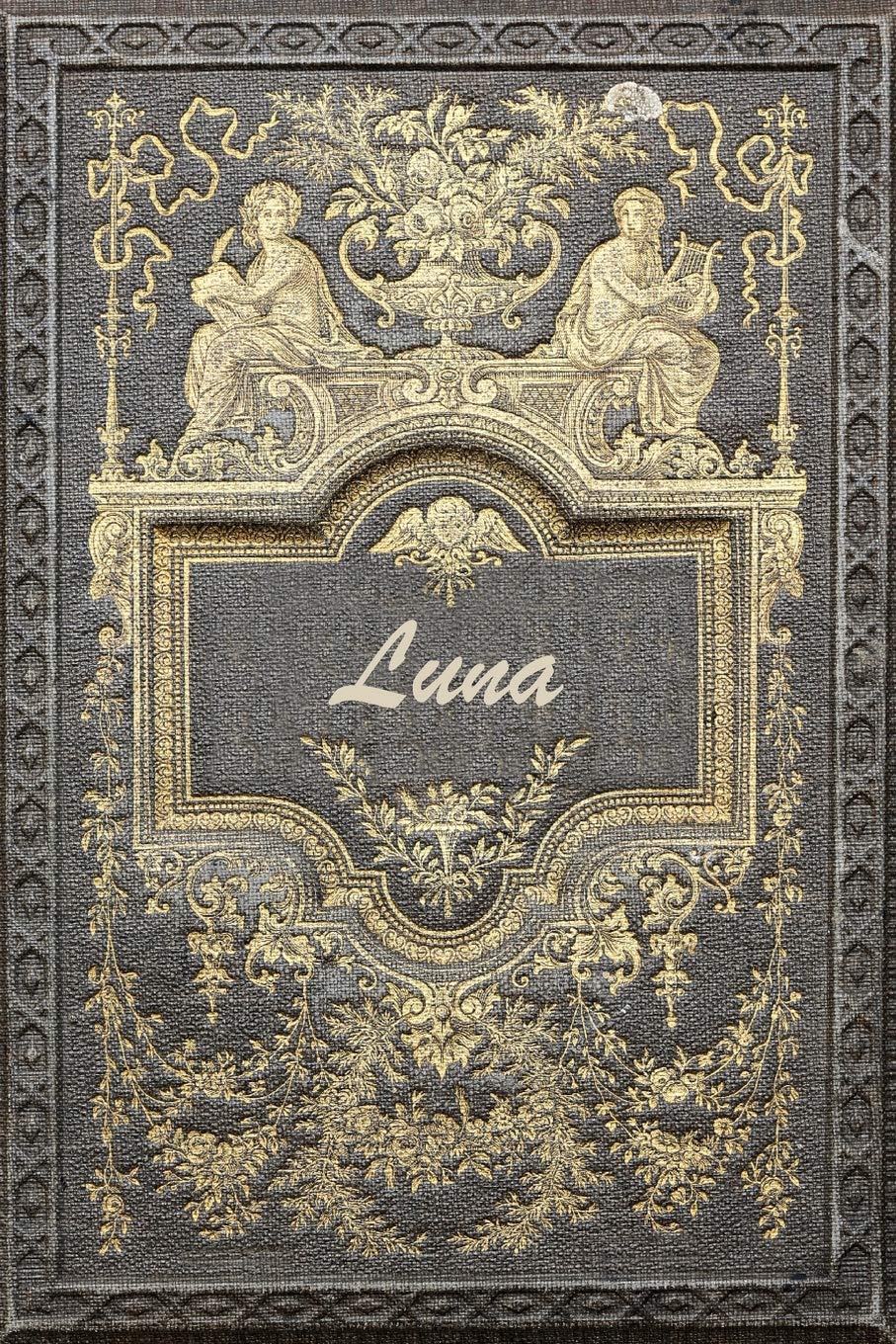 Luna: Classic Style Blank Cookbook Recipes & Notes featuring 120 pages 6"x9" Essays & Short Stories