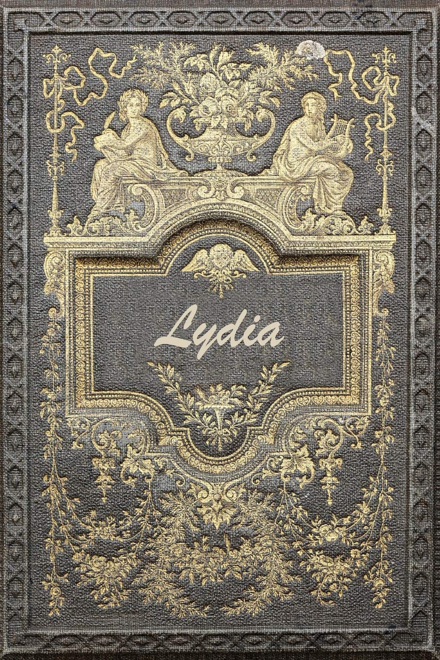 Lydia: Classic Style Blank Cookbook Recipes & Notes featuring 120 pages 6"x9" Essays & Short Stories