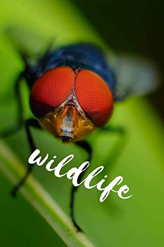 wildlife: Notebook Unlined | Sketchbook Journals (110 Pages 6 x 9”) Paperback for Drawing, Jotting, Writing Education & Training