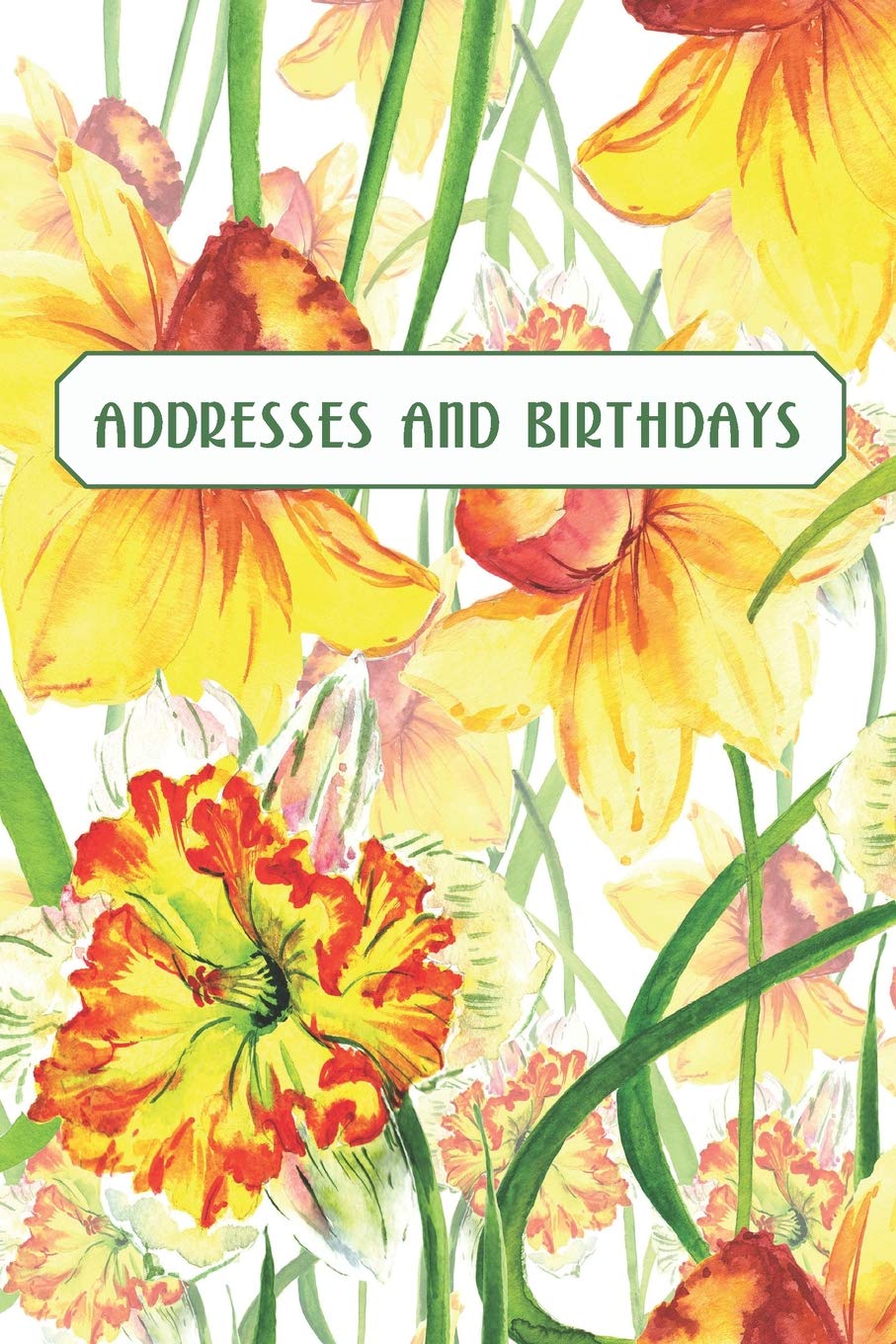 Addresses and Birthdays: Watercolor Daffodils Books