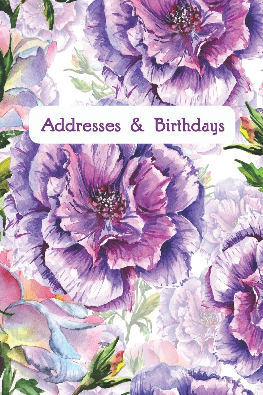Addresses & Birthdays: Watercolor Purple Peonies Books