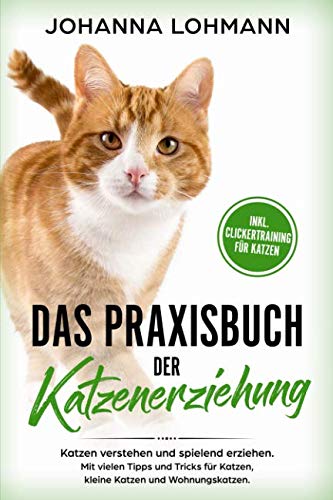 Das Praxisbuch der Katzenerziehung: Katzen verstehen und spielend erziehen. Mit vielen Tipps und Tricks für Katzen, kleine Katzen und Wohnungskatzen. Film, Art & Culture