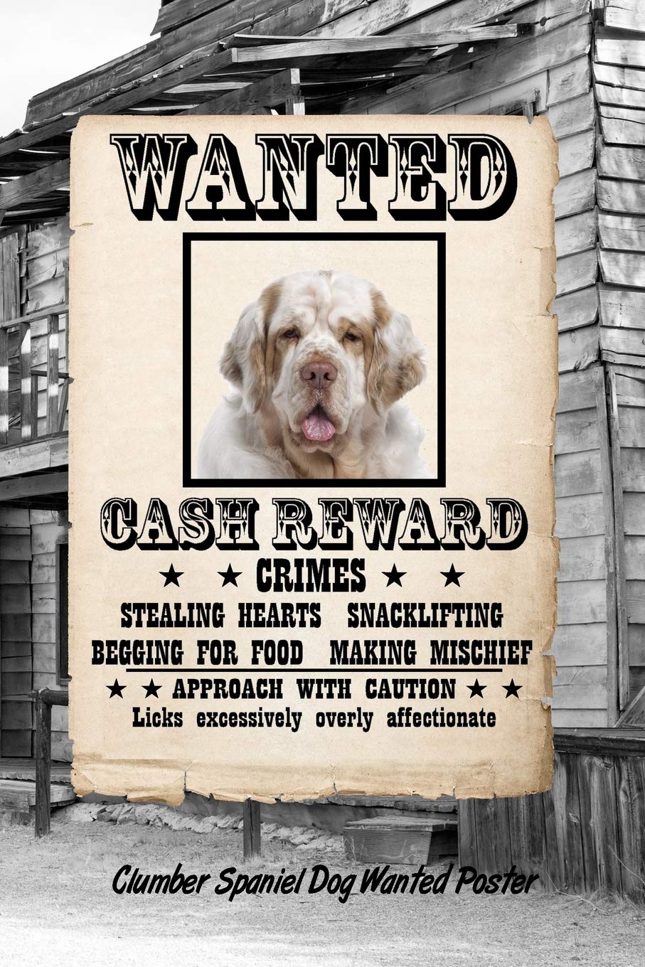 Clumber Spaniel Dog Wanted Poster: Beer Tasting Journal Rate and Record Your Favorite Beers Collect Beer Name, Brewer, Origin, Date, Sampled, Rating, ... meter, Note and Flavor wheel 120 pages 6"x9" Essays & Short Stories