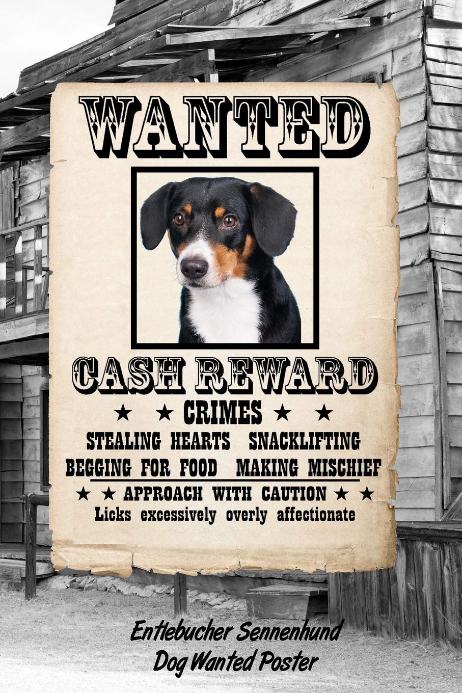 Entlebucher Sennenhund Dog Wanted Poster: Beer Tasting Journal Rate and Record Your Favorite Beers Collect Beer Name, Brewer, Origin, Date, Sampled, ... meter, Note and Flavor wheel 120 pages 6"x9" Essays & Short Stories