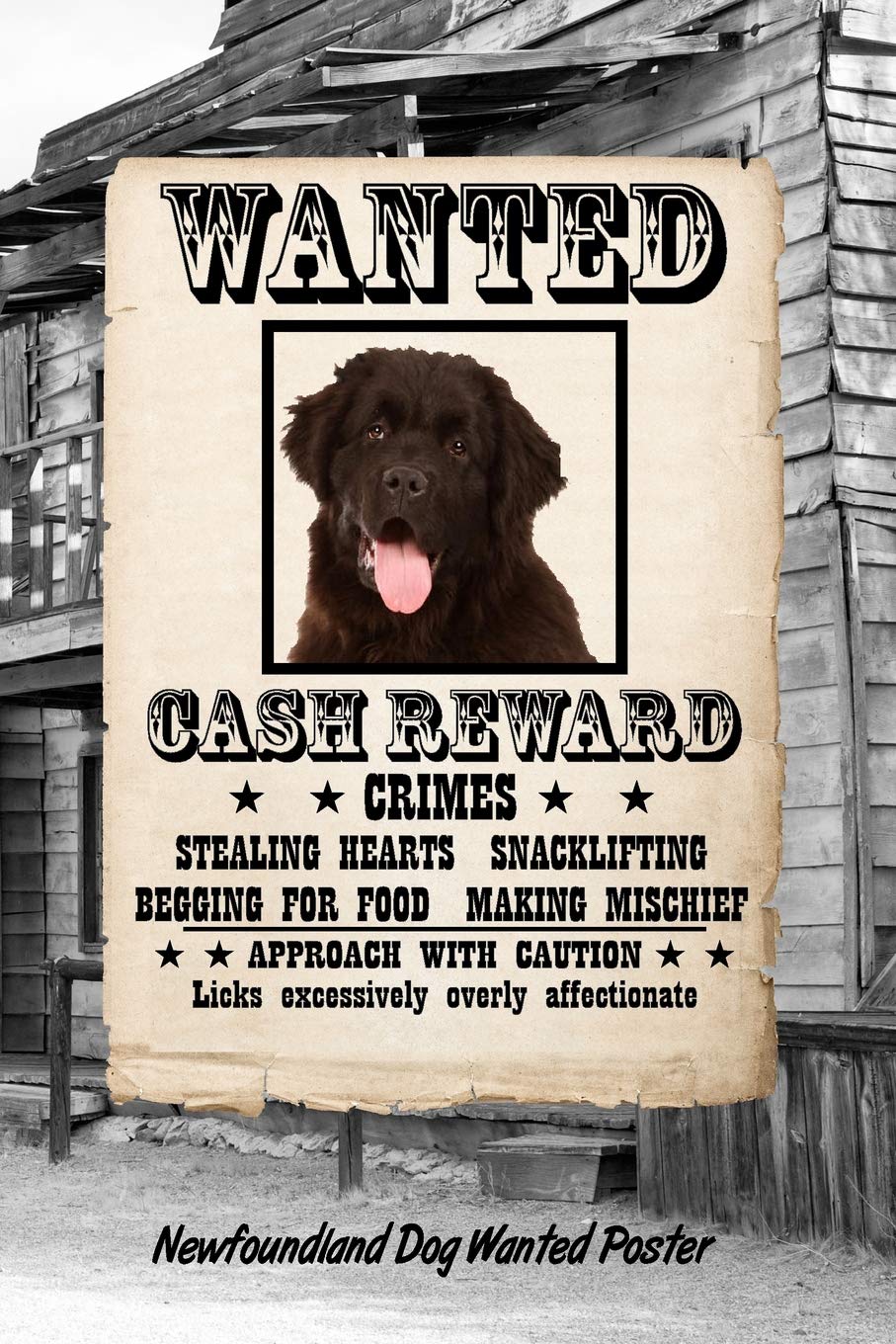 Newfoundland Dog Wanted Poster: Beer Tasting Journal Rate and Record Your Favorite Beers Collect Beer Name, Brewer, Origin, Date, Sampled, Rating, ... meter, Note and Flavor wheel 120 pages 6"x9" Essays & Short Stories