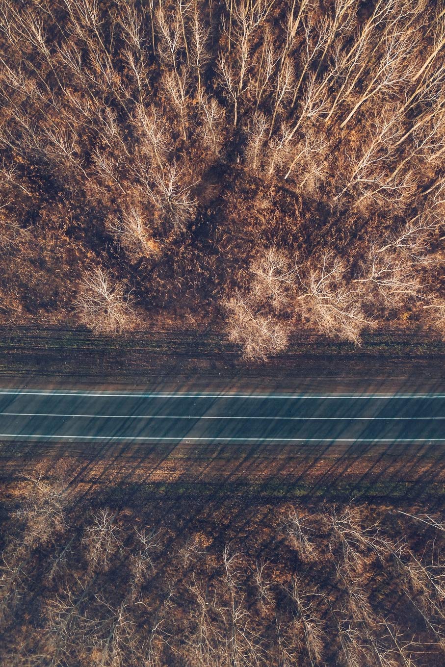 Notebear: Aerial View Of Brand New Road Through Autumn Forest Journal (Travel Notebook & Diary with Alternate Blank & Lined Pages, Band 64) Books